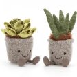 Jellycat Amuseable Aloe 20 cm Sale